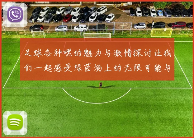足球各种嘿的魅力与激情探讨让我们一起感受绿茵场上的无限可能与快乐