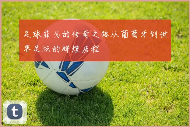 足球菲戈的传奇之路从葡萄牙到世界足坛的辉煌历程