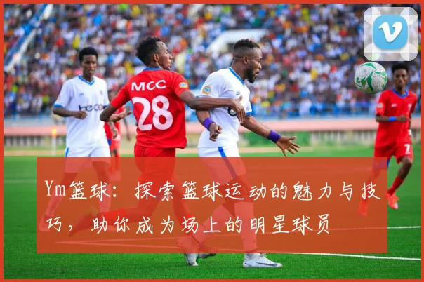 Ym篮球：探索篮球运动的魅力与技巧，助你成为场上的明星球员