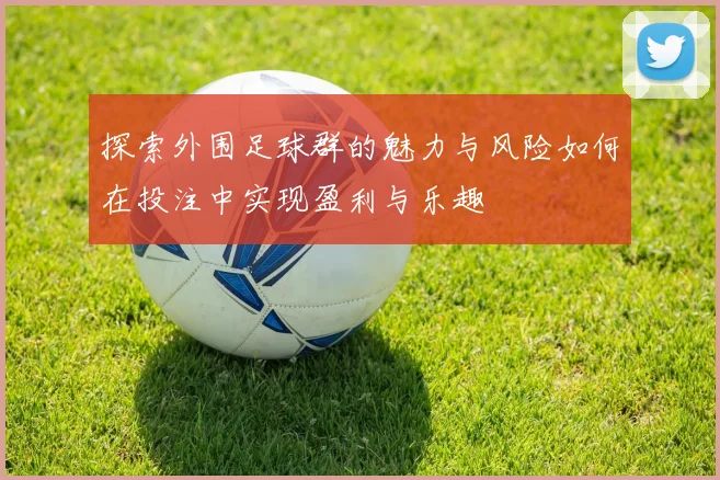 探索外围足球群的魅力与风险如何在投注中实现盈利与乐趣